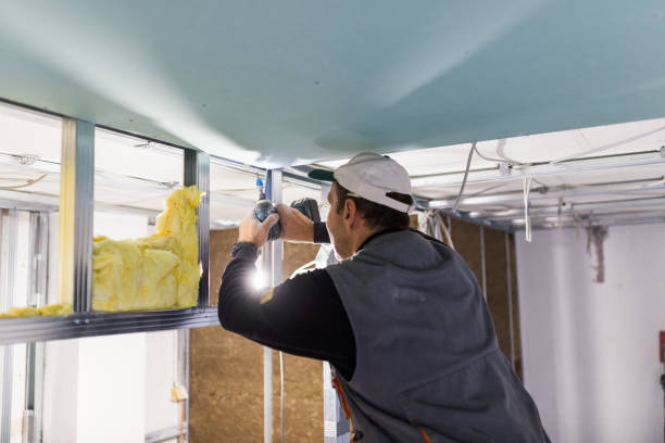 Best Commercial Insulation in Buckingham, FL