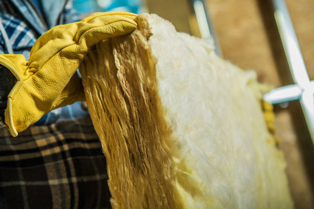 Best Geographic-Specific Insulation Services in Buckingham, FL