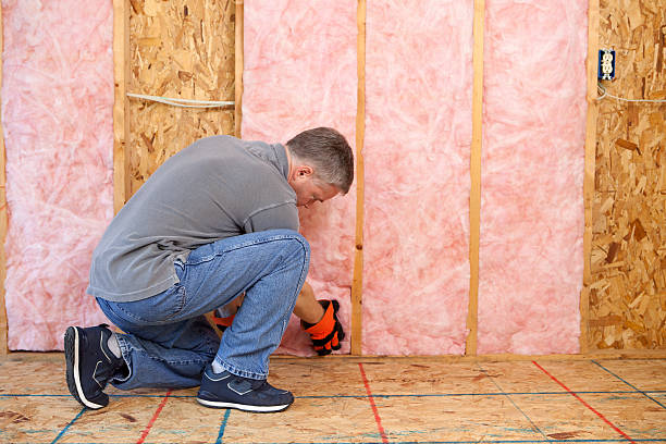 Types of Insulation We Offer in Buckingham, FL
