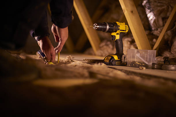 Best Insulation Maintenance and Repair in Buckingham, FL